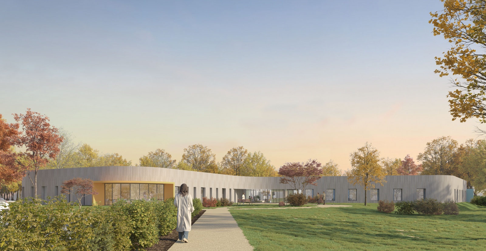 Psychiatrie Adolescents et Jeunes Adultes